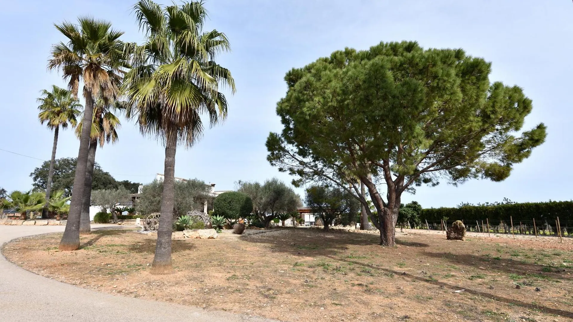Sa Tanca Gran Villa Sineu