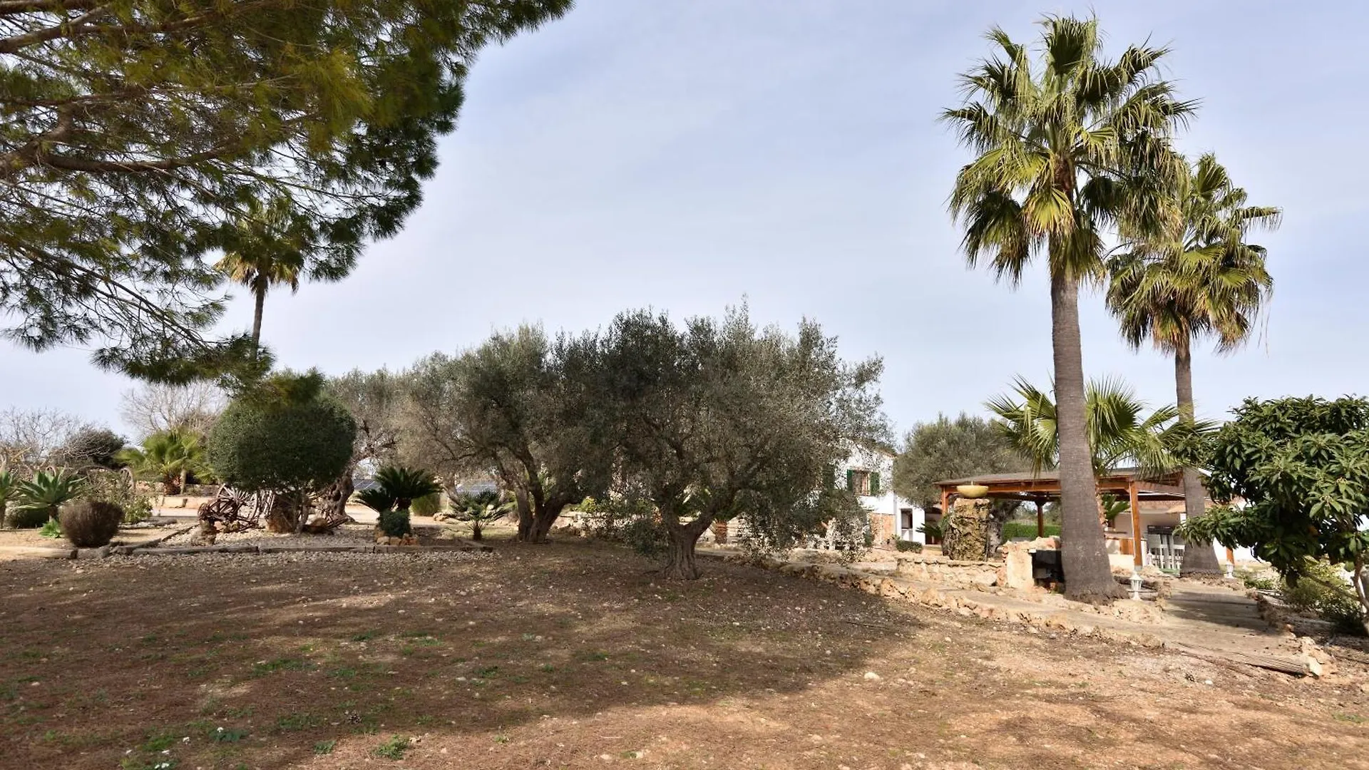 Sa Tanca Gran Villa Sineu