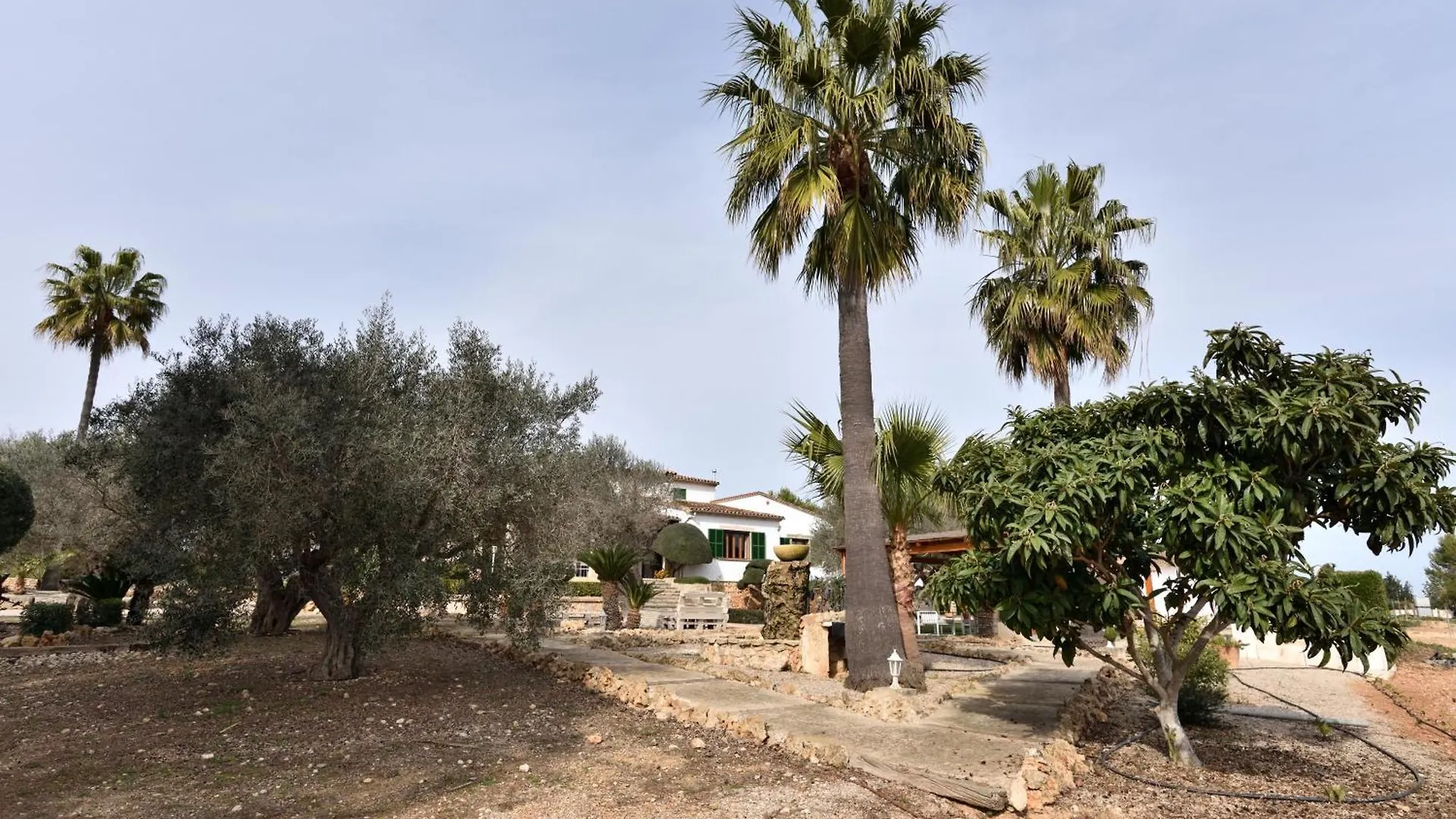 Sa Tanca Gran Villa Sineu  Spain